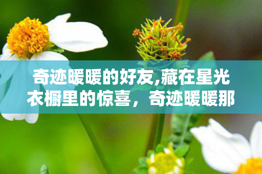 奇迹暖暖的好友,藏在星光衣橱里的惊喜,奇迹暖暖那封奇怪的邀请函 奇迹暖暖的好友,藏在星光衣橱里的惊喜,奇迹暖暖那封奇怪的邀请函