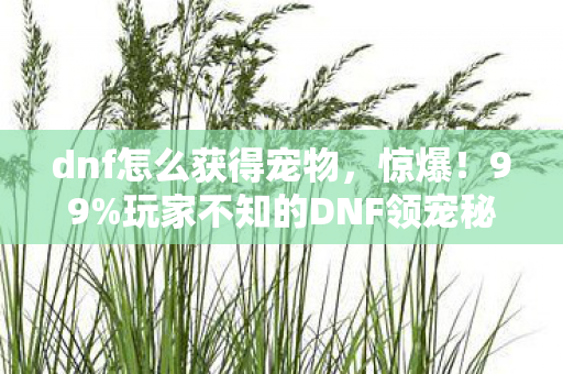dnf怎么获得宠物,惊爆!99%玩家不知的DNF领宠秘径,错过再等十年? dnf怎么获得宠物,惊爆!99%玩家不知的DNF领宠秘径,错过再等十年?