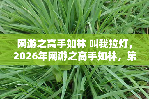 网游之高手如林 叫我拉灯,2026年网游之高手如林,第9999层BOSS竟藏惊天秘密? 网游之高手如林 叫我拉灯,2026年网游之高手如林,第9999层BOSS竟藏惊天秘密?