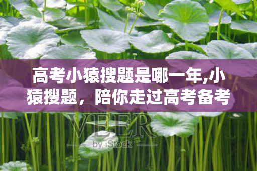 高考小猿搜题是哪一年,小猿搜题,陪你走过高考备考的闪光时光 高考小猿搜题是哪一年,小猿搜题,陪你走过高考备考的闪光时光