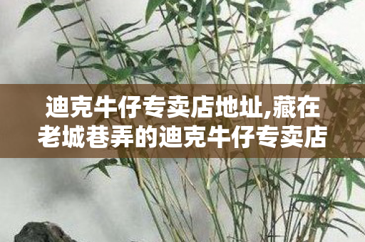 迪克牛仔专卖店地址,藏在老城巷弄的迪克牛仔专卖店，装着跨时代的牛仔穿搭情怀