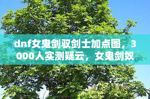 dnf女鬼剑驭剑士加点图,3000人实测疑云,女鬼剑奴剑士加点竟让网吧集体破防?我绷不住了! dnf女鬼剑驭剑士加点图,3000人实测疑云,女鬼剑奴剑士加点竟让网吧集体破防?我绷不住了!