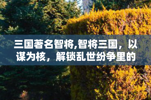 三国著名智将,智将三国，以谋为核，解锁乱世纷争里的智慧内核