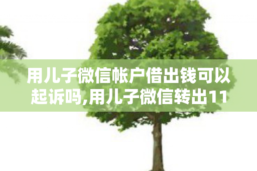 用儿子微信帐户借出钱可以起诉吗,用儿子微信转出110万后,我意外把全家的日子过成了新模样 用儿子微信帐户借出钱可以起诉吗,用儿子微信转出110万后,我意外把全家的日子过成了新模样