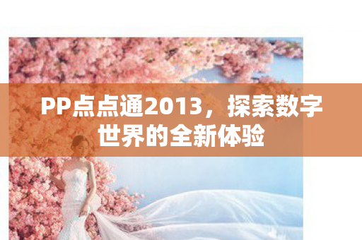探索数字世界的全新体验图片