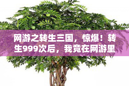 网游之转生三国，惊爆！转生999次后，我竟在网游里发现了惊天秘密！