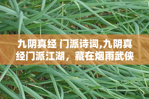 九阴真经 门派诗词,九阴真经门派江湖，藏在烟雨武侠里的鲜活风骨