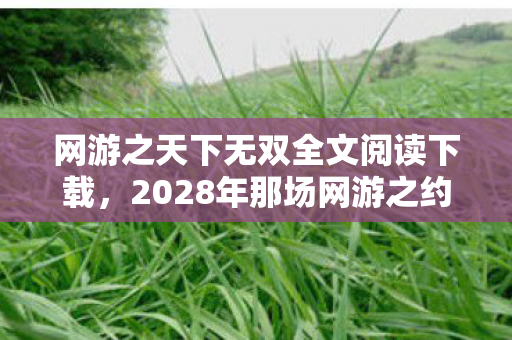 网游之天下无双全文阅读下载，2028年那场网游之约，伏笔藏了十年，读到结局鼻子一酸