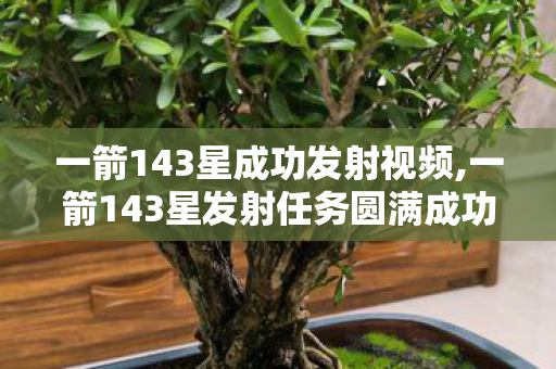 一箭143星成功发射视频,一箭143星发射任务圆满成功 中国航天多星组网能力实现新跨越