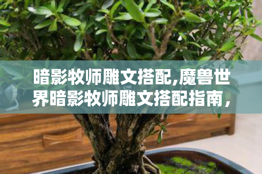 暗影牧师雕文搭配,魔兽世界暗影牧师雕文搭配指南，适配全场景的输出与生存平衡思路