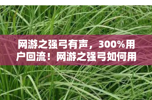网游之强弓有声,300%用户回流!网游之强弓如何用1把武器撬动2027年游戏业万亿蛋糕? 网游之强弓有声,300%用户回流!网游之强弓如何用1把武器撬动2027年游戏业万亿蛋糕?