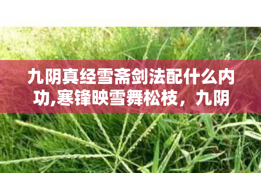九阴真经雪斋剑法配什么内功,寒锋映雪舞松枝，九阴真经雪斋剑法的江湖意趣