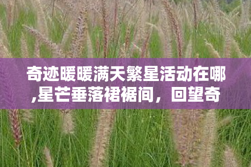 奇迹暖暖满天繁星活动在哪,星芒垂落裙裾间，回望奇迹暖暖满天繁星第二期的浪漫旧梦