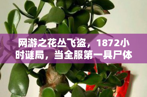 网游之花丛飞盗，1872小时谜局，当全服第一具尸体出现在新手村，开发者哭到失声