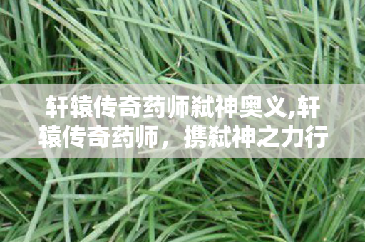 轩辕传奇药师弑神奥义,轩辕传奇药师，携弑神之力行走大荒的济世行者