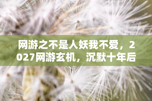 网游之不是人妖我不爱，2027网游玄机，沉默十年后，我为何仍困在不要成亲的诅咒里？