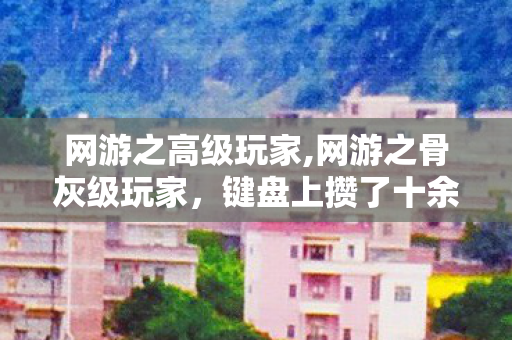 网游之高级玩家,网游之骨灰级玩家，键盘上攒了十余年的滚烫旧时光
