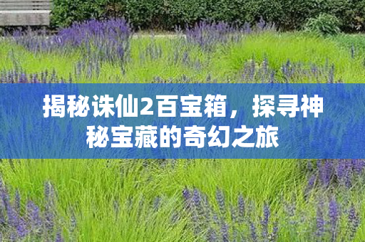 探寻神秘宝藏的奇幻之旅图片