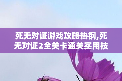 死无对证游戏攻略热钢,死无对证2全关卡通关实用技巧指南
