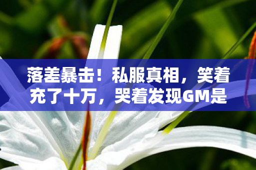 落差暴击！私服真相，笑着充了十万，哭着发现GM是我二舅
