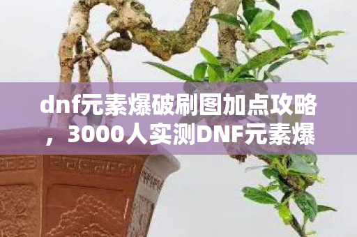 dnf元素爆破刷图加点攻略,3000人实测DNF元素爆破加点疑云,这数据是策划喝假酒写的?我当场绷不住了! dnf元素爆破刷图加点攻略,3000人实测DNF元素爆破加点疑云,这数据是策划喝假酒写的?我当场绷不住了!
