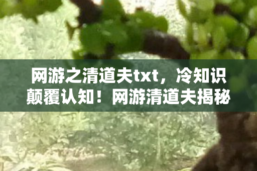 网游之清道夫txt，冷知识颠覆认知！网游清道夫揭秘，那些让你目瞪口呆的隐藏设计