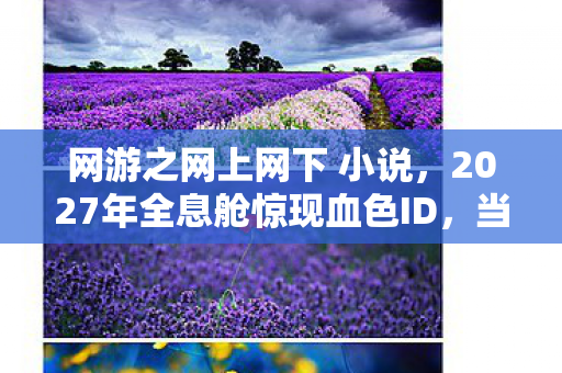 网游之网上网下 小说,2027年全息舱惊现血色ID,当你的游戏角色开始替你杀人 网游之网上网下 小说,2027年全息舱惊现血色ID,当你的游戏角色开始替你杀人