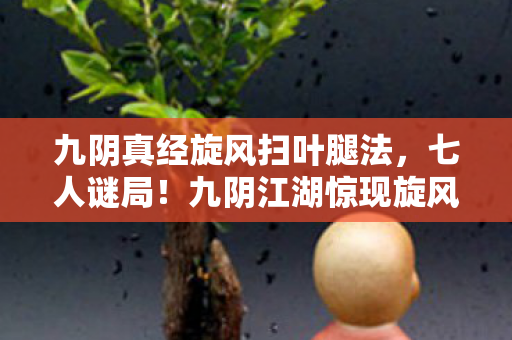 九阴真经旋风扫叶腿法，七人谜局！九阴江湖惊现旋风扫叶腿全员破防现场