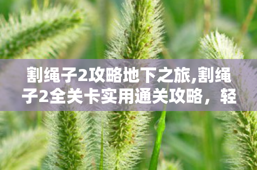 割绳子2攻略地下之旅,割绳子2全关卡实用通关攻略，轻松解锁三星与隐藏彩蛋