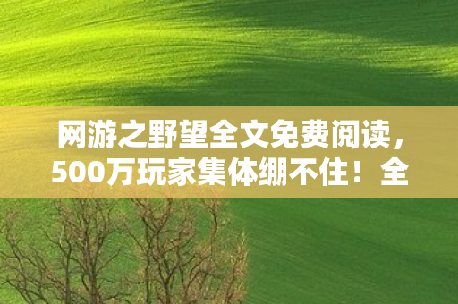 网游之野望全文免费阅读，500万玩家集体绷不住！全服第一竟是AI？退坑大佬怒掀键盘现场对线