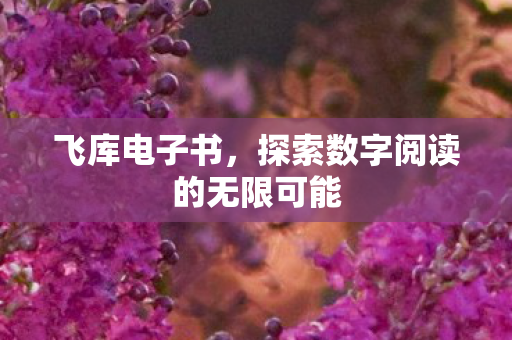 探索数字阅读的无限可能图片