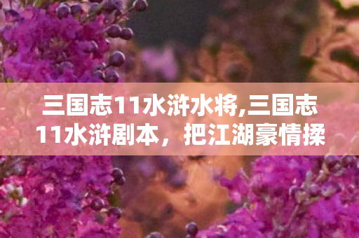 三国志11水浒水将,三国志11水浒剧本,把江湖豪情揉进乱世争霸的独特体验 三国志11水浒水将,三国志11水浒剧本,把江湖豪情揉进乱世争霸的独特体验