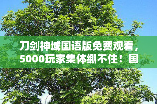刀剑神域国语版免费观看,5000玩家集体绷不住!国语版刀剑神域惊现时间悖论? 刀剑神域国语版免费观看,5000玩家集体绷不住!国语版刀剑神域惊现时间悖论?