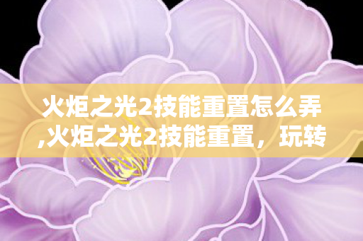 火炬之光2技能重置怎么弄,火炬之光2技能重置，玩转多元Build流派的实用指南