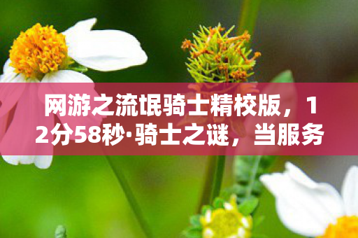 网游之流氓骑士精校版，12分58秒·骑士之谜，当服务器熄灭时谁在黑暗中流泪