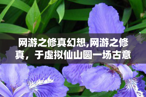网游之修真幻想,网游之修真,于虚拟仙山圆一场古意逍遥梦 网游之修真幻想,网游之修真,于虚拟仙山圆一场古意逍遥梦