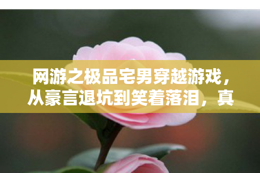 网游之极品宅男穿越游戏,从豪言退坑到笑着落泪,真相揭晓,宅男包租公的落差人生 网游之极品宅男穿越游戏,从豪言退坑到笑着落泪,真相揭晓,宅男包租公的落差人生