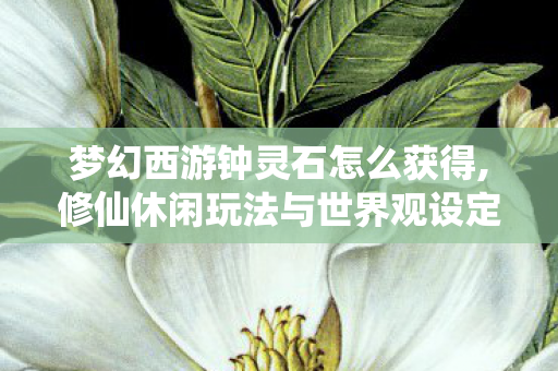 梦幻西游钟灵石怎么获得,修仙休闲玩法与世界观设定中,灵石的多元获取全指南 梦幻西游钟灵石怎么获得,修仙休闲玩法与世界观设定中,灵石的多元获取全指南