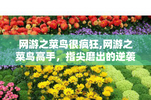网游之菜鸟很疯狂,网游之菜鸟高手，指尖磨出的逆袭传奇