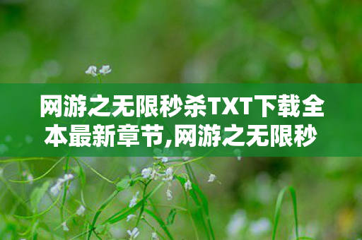 网游之无限秒杀TXT下载全本最新章节,网游之无限秒杀,藏着一代人青春的热血网游经典 网游之无限秒杀TXT下载全本最新章节,网游之无限秒杀,藏着一代人青春的热血网游经典