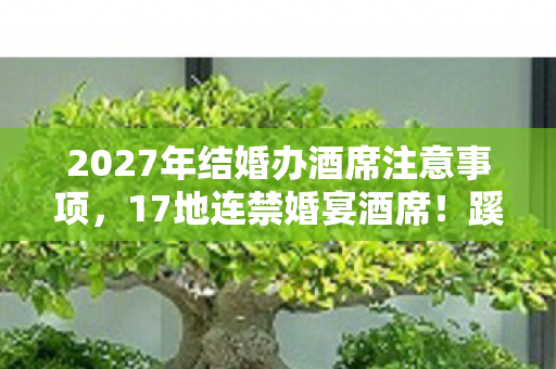 2027年结婚办酒席注意事项,17地连禁婚宴酒席!蹊跷操作背后,后背发凉的真相竟是…… 2027年结婚办酒席注意事项,17地连禁婚宴酒席!蹊跷操作背后,后背发凉的真相竟是……