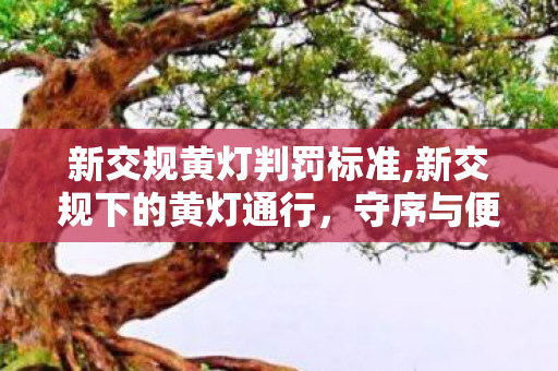 新交规黄灯判罚标准,新交规下的黄灯通行,守序与便民的双向平衡 新交规黄灯判罚标准,新交规下的黄灯通行,守序与便民的双向平衡