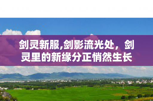 剑灵新服,剑影流光处,剑灵里的新缘分正悄然生长 剑灵新服,剑影流光处,剑灵里的新缘分正悄然生长