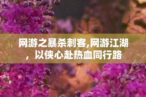 网游之暴杀刺客,网游江湖,以侠心赴热血同行路 网游之暴杀刺客,网游江湖,以侠心赴热血同行路