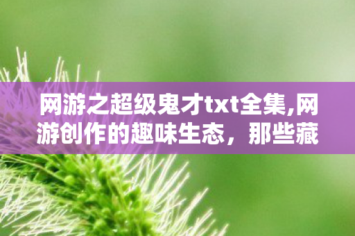 网游之超级鬼才txt全集,网游创作的趣味生态，那些藏在玩家记忆里的智斗向经典作品