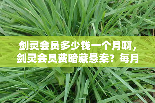 剑灵会员多少钱一个月啊，剑灵会员费暗藏悬案？每月价格背后竟藏毛骨悚然线索！