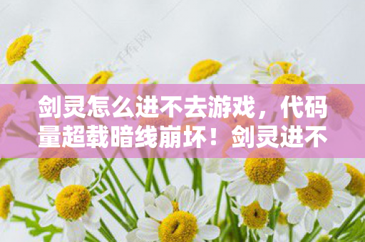 剑灵怎么进不去游戏，代码量超载暗线崩坏！剑灵进不去的头皮发麻真相