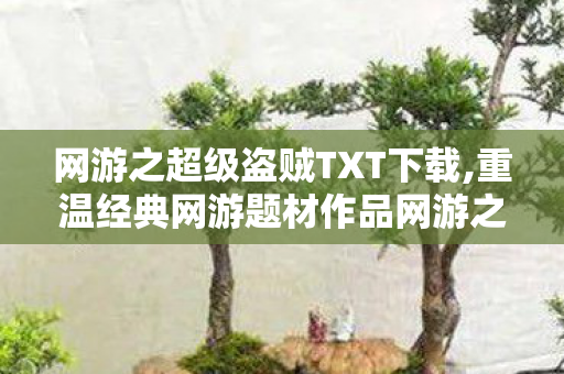 网游之超级盗贼TXT下载,重温经典网游题材作品网游之超级鬼才，虚拟世界里的智斗热血之旅