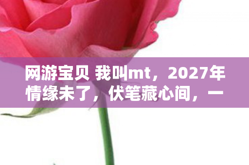 网游宝贝 我叫mt,2027年情缘未了,伏笔藏心间,一读聊天记录鼻子一酸 网游宝贝 我叫mt,2027年情缘未了,伏笔藏心间,一读聊天记录鼻子一酸