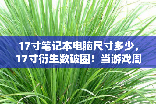 17寸笔记本电脑尺寸多少,17寸衍生数破圈!当游戏周边堆成电子灵堂,我的钱包在元宇宙裸奔 17寸笔记本电脑尺寸多少,17寸衍生数破圈!当游戏周边堆成电子灵堂,我的钱包在元宇宙裸奔